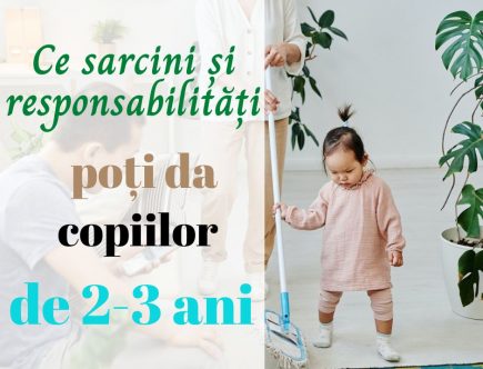 Ce sarcini și responsabilități poți da copiilor de 2-3 ani