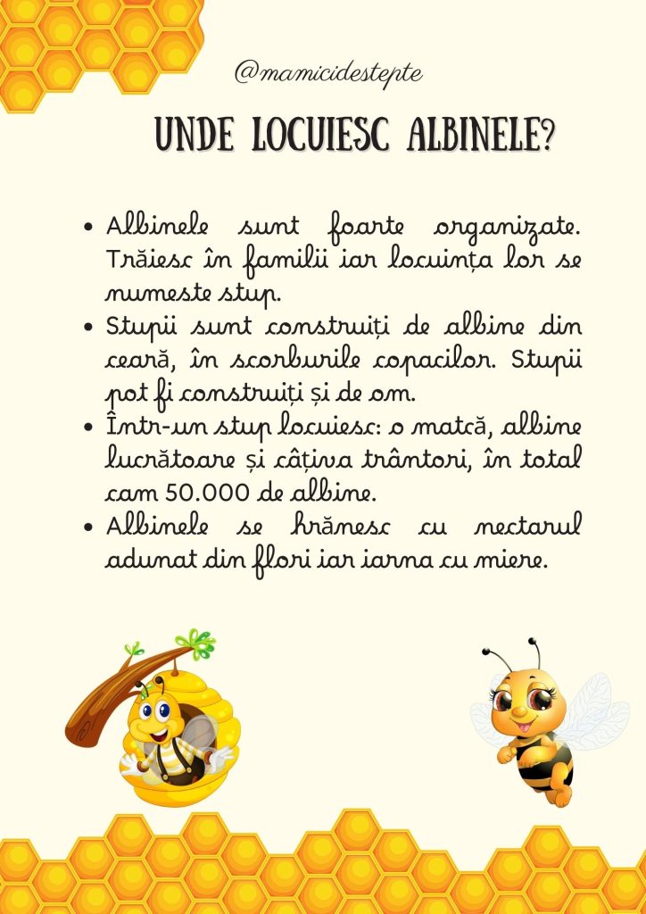 Fișe despre albine