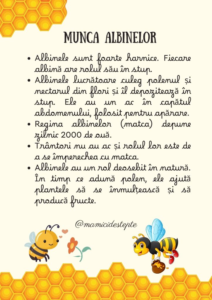 Fișe despre albine