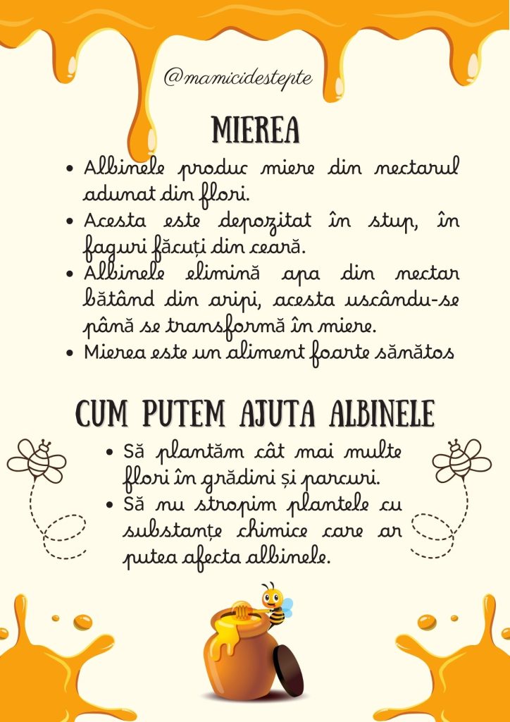 Fișe despre albine