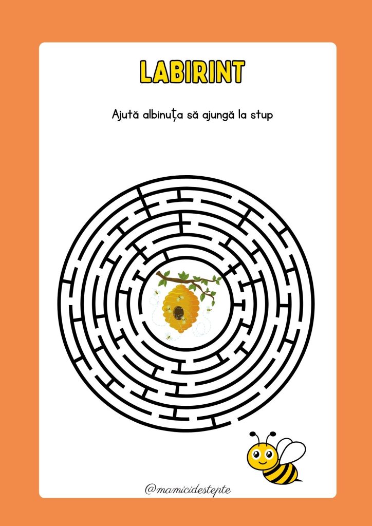 Fișe despre albine